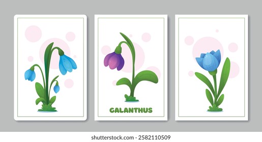 Vector collection of postcard templates with snowdrops.