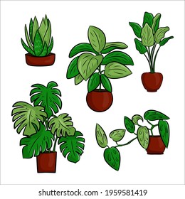 Vector collection of potted houseplants in a flat cartoon style. A set of elements for decorating your home, room or office. Isolated elements on a white background.