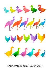 Vector collection of poultry silhouettes filled with watercolor. Cool design elements.