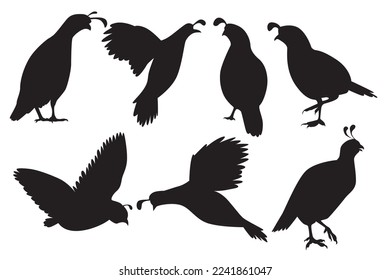 Vector collection of quails. Odontophoridae family