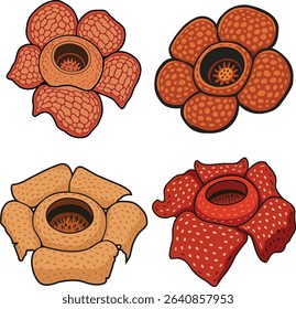 vector collection of rafflesia flower eps file