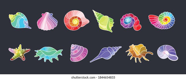 vector collection of rainbow seashells, starfish, molluscs, scallop shell. Multicolored magical inhabitants of the sea on a black background.