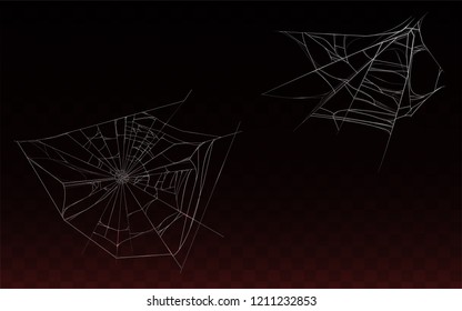 Vector collection of realistic cobweb, spider web isolated on dark background. White sticky, scary element for Halloween, horror decoration. Natural arachnid net, spooky hanging trap for insects.