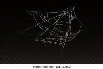 Vector collection of realistic cobweb with spider on it. Web with insect isolated on dark background. White sticky, scary element for Halloween, horror decoration. Natural arachnid net with bug.