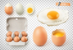 Vector collection of realistic eggs, fried egg, cardboard egg box and boiled eggs on transparent background