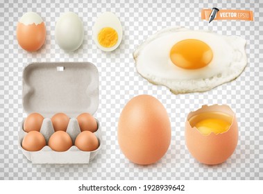 Colección de vectores de huevos realistas, huevos fritos, caja de huevos de cartón y huevos pasados por agua sobre fondo transparente