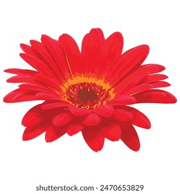 Vector colección de ilustraciones de amapola roja. Pétalos rojos, estambres negros, flores de amapola aisladas en blanco. Prado jardín de flores silvestres, campo de plantas con flores que pellizcan el arte.