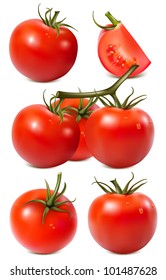 Vector collection of red ripe tomatoes with water drops.