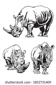 Vector collection of rhinoceroses isolated on white , vector illustration