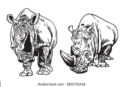 Vector collection of rhinoceroses isolated on white , vector illustration