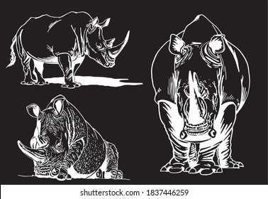 Vector collection of rhinos on black background, vector engraved  illustration