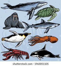 vector collection of sea creatures hand drawn style