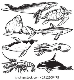 vector collection of sea creatures line art hand drawn style