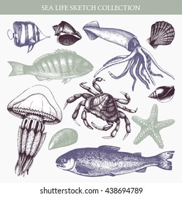 Vector collection of sea life illustrations. Hand drawn sea animals sketch - mussels, fish, crab, starfish, squid, jellyfish, shellfish. Pastel colored.