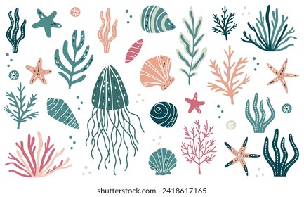 Vector collection of sea plants and shells. Jellyfish, algae, corals, shells and starfish. Marine illustrations in Scandinavian style 