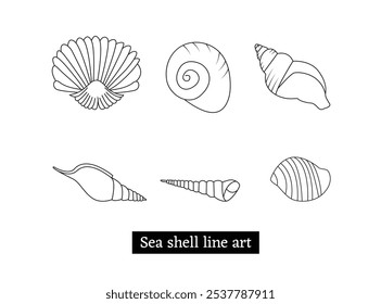 vector collection of Sea Shell Animal Illustrations Line Art