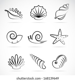 Vector collection of sea shells and snail