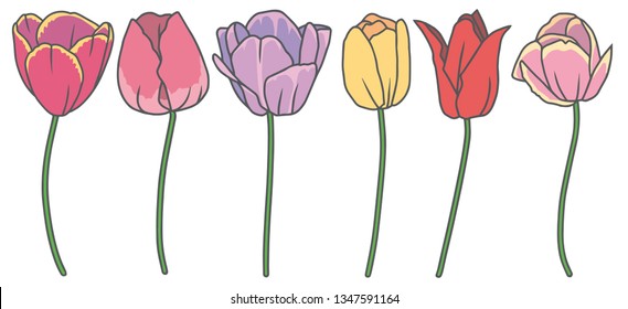 Vector collection set with 6 beautiful drawn cartoon Tulip spring flowers in different colors