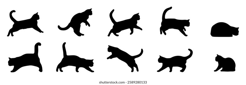 A vector collection set of cat silhouettes in different poses on a white background. Cat silhouette made with doodle drawing.