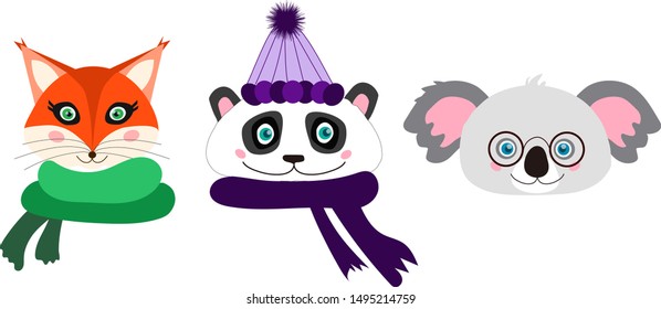 Vector collection, set of kawaii, cute animals. Winter, autumn isolated accessories. Koala or bear with glasses, panda with violet cap or hat and scarf and fox with green scarf.