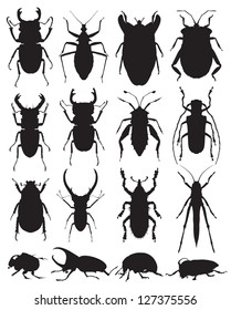  	 vector collection of the silhouettes of insects