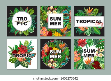 Vector collection with six cards, notes and banners with exotic flowers, plants and leaves. Colorful tropical printable set for party posters, greeting cards, wedding invitations
