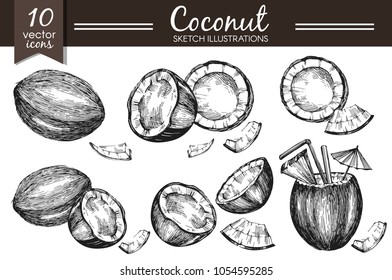 Vector collection with sketch coconut