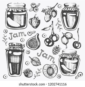 Vector collection with sketch glass jar  with berry jam