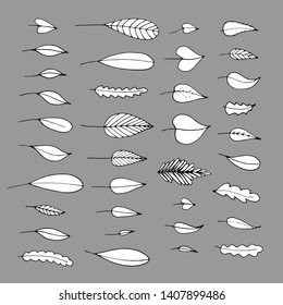 Vector collection of sketch leaves. Hand drawn style nature decoration for concept design. 