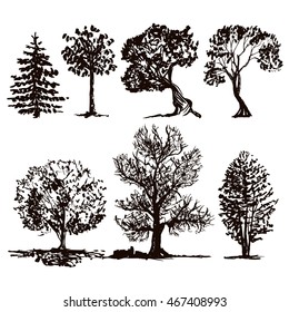 a vector collection of sketched trees isolated on white background; a set of hand drawn trees; grungy, doodle style; vector illustration