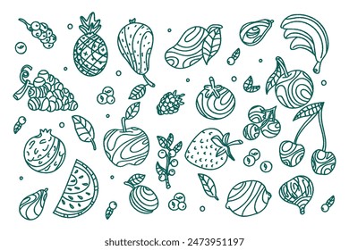 Vector collection of sketches of exotic fruits on white background.  Set of fruits and vegetables. Doodle style.