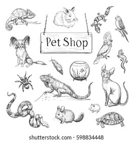 Vector collection of sketches of pets. Hand drawings of different exotic animals. 