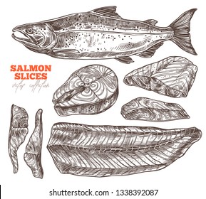 Vector collection of slices, fillet, steak of red fish. Hand drawn seafood and salmon. Sketch illustration of meat food products