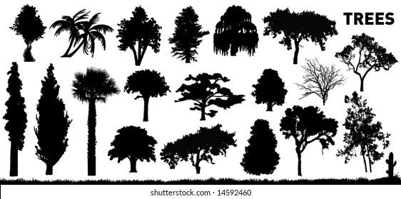 vector collection of some trees svg