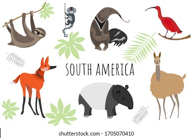 Vector collection with south american animals. Illustration with cute animals for children. Sloth, marmoset, anteater, ibis, maned wolf, tapir, llama.