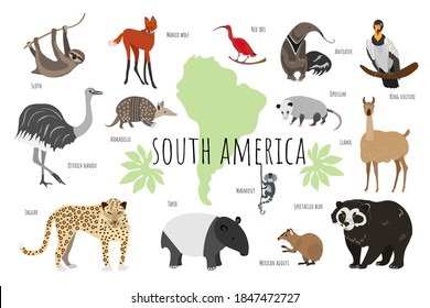 Vector collection with south american animals. Illustration with cute animals for children. Sloth, marmoset, anteater, ibis, maned wolf, tapir, llama, jaguar, rhea, agouti, bear, opossum, armadillo.