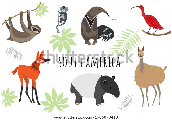 南米の動物のベクター画像コレクション 子ども向けのかわいい動物のイラスト スロス マーモセット アンテイ トキ 手入れ狼 タピル ラマ のベクター画像素材 ロイヤリティフリー