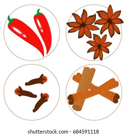 Vector collection of spice on white background