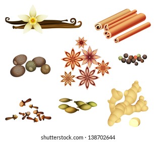 Vector collection of spices 