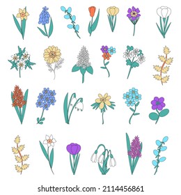Vector collection of spring flowers in doodle style. Set of Herbs and Wild Flowers. Hand drawn floral elements. Vector illustration