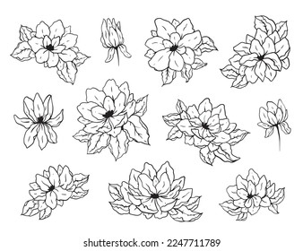 Vektorgrafik von Frühlingsblumen. Handgezeichnetes Blumenklammer-Design einzeln auf weißem Hintergrund.