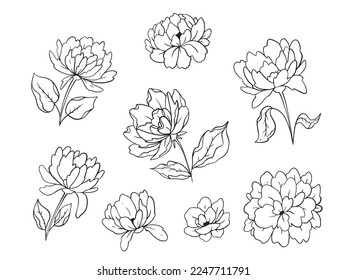 Colección vectorial de flores primaverales. Diseño de clipart floral dibujado a mano aislado en fondo blanco.