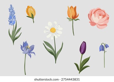 Vector collection of spring flowers including daisy, tulip, bluebell, and rose. Perfect for greeting cards, wedding invitations, and floral design.