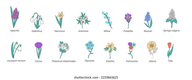 Vector collection of spring flowers with names in doodle styleCollection of Herbs and Wild Flowers of signed titles. Garden or Forest Blossoms. Cartoon Vector Illustration