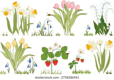 Vector collection of spring plants including pink and yellow tulips, white daffodils, lily of the valley, snowdrops, strawberry bushes with flowers and berries, and grass elements. Perfect for botanical design, patterns, packaging and seasonal decor.