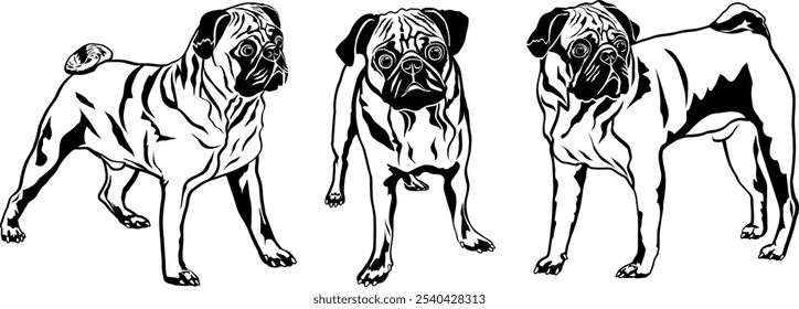 Vector colección Ilustración de stock de Pug perros silueta en blanco