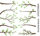 Vector Collection of Stylized Branch Silhouettes