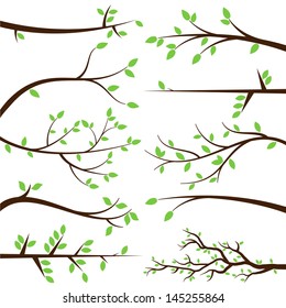 Vector Collection of Stylized Branch Silhouettes - Shutterstock ID 145255864