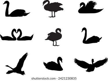 A vector collection of swans for artwork compositions