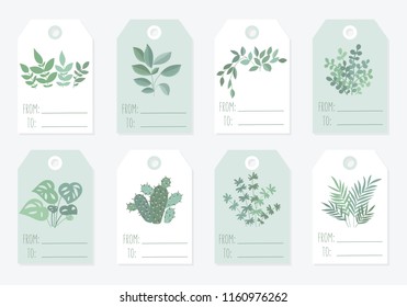Vector collection of tags with cute plants in pastel colors. Valentine's day, anniversary, save the date, baby shower, bridal, birthday, children party